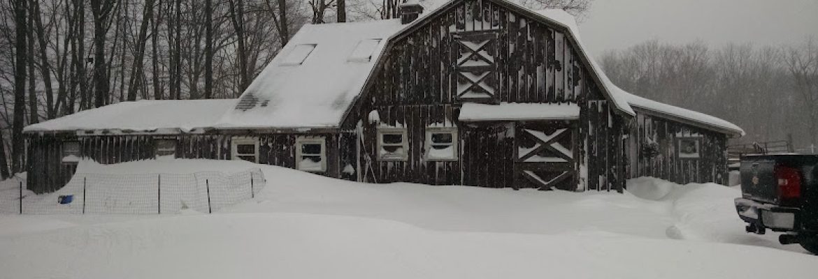 Hidden Fields Farm