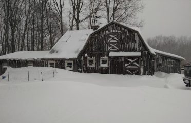 Hidden Fields Farm