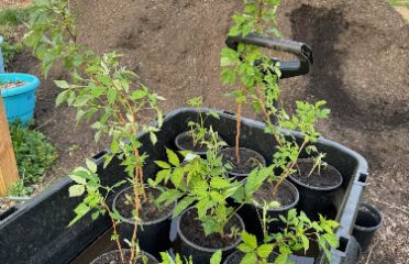 Western Skye Organics – A Solar Powered Farm