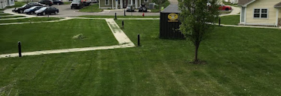 Avalanche Tree and Landscaping LLC