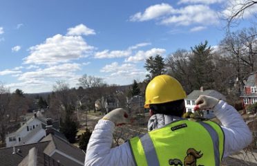 Golden Shield Roofing