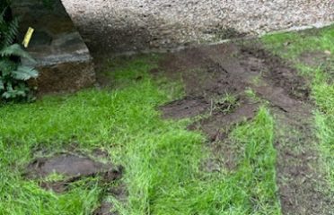 Allied Tree & Lawn Care LLC