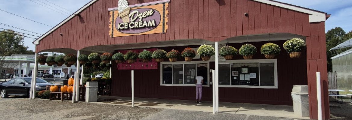 Dzen Ice Cream