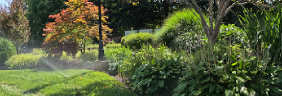 Executive Landscaping
