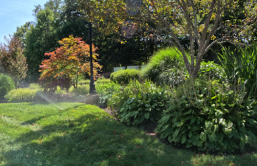 Executive Landscaping