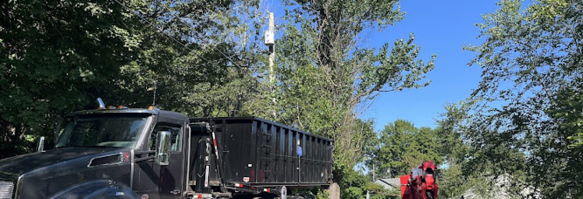 North Goshen Tree Services