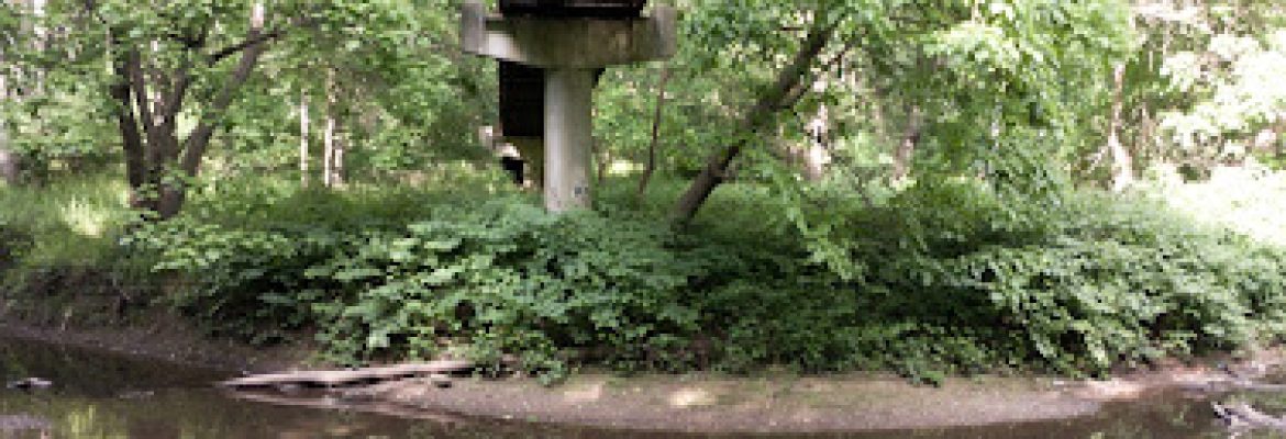 Martin Park