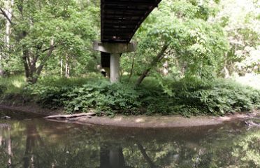 Martin Park