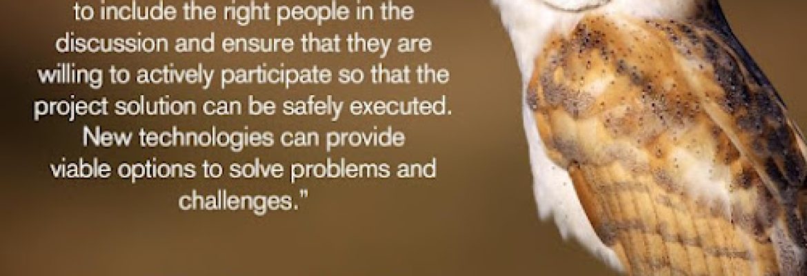Rekaby & Associates LLC