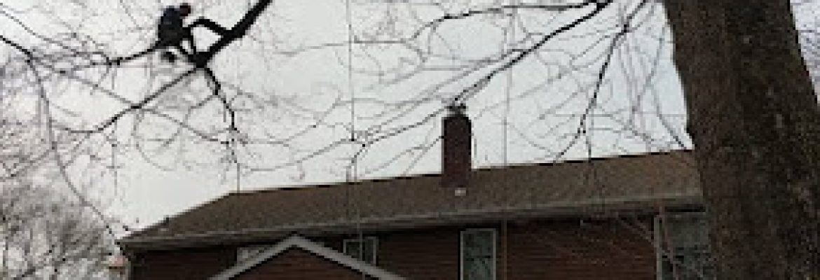 C&G Outdoor Services