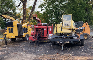 Jorge tree service llc