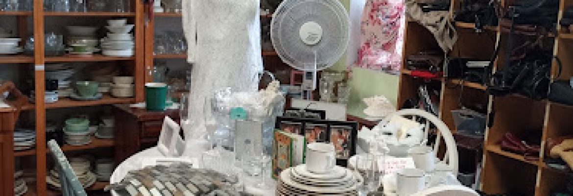 Stafford Thrift Shop