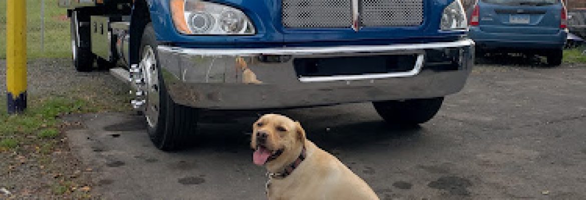 John’s Auto LLC.