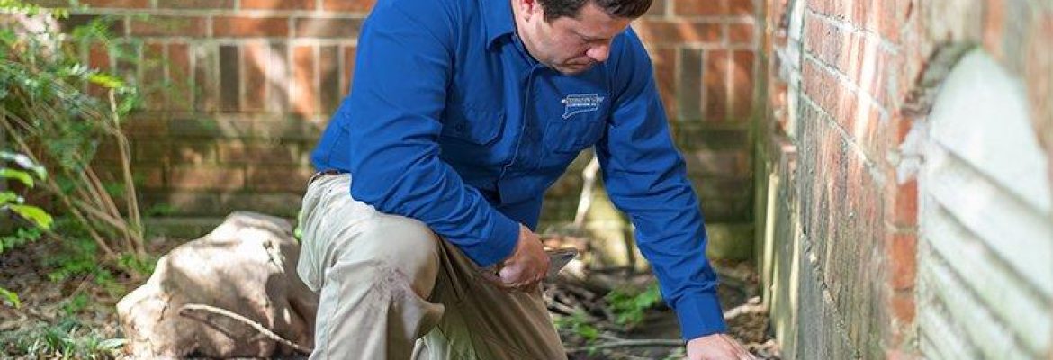 Connecticut Pest Elimination, LLC.