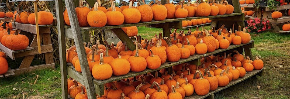 Edmondson’s Farm & Nursery