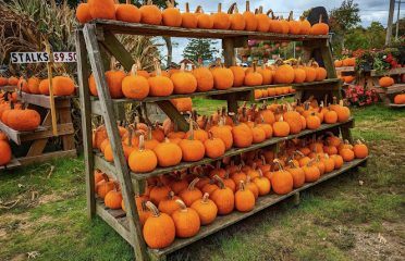Edmondson’s Farm & Nursery