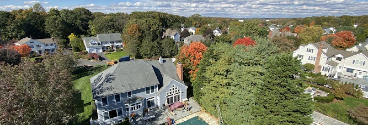 JS Landscaping and Tree services