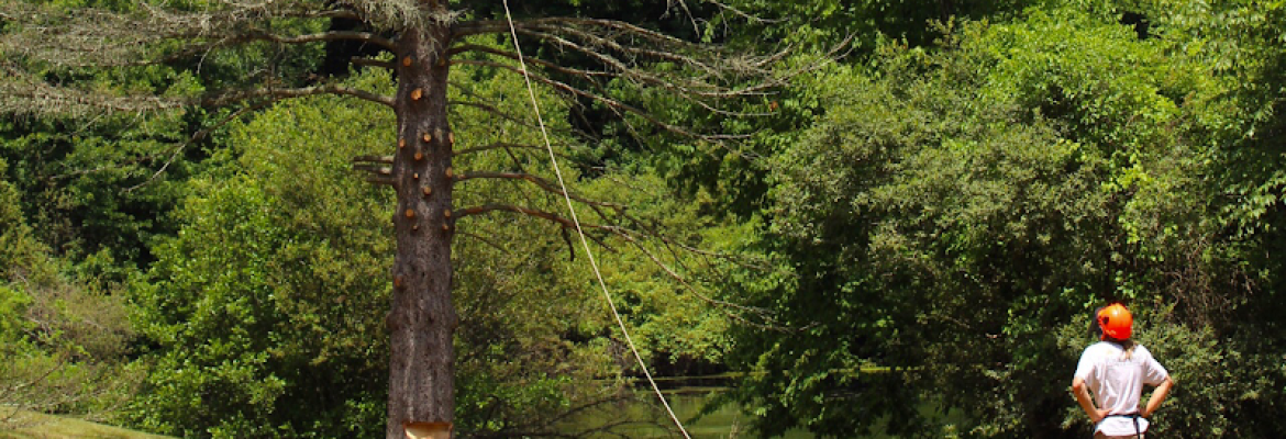 Generations Arborcare LLC