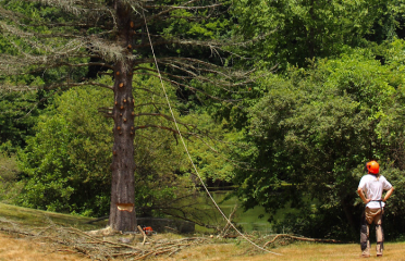 Generations Arborcare LLC