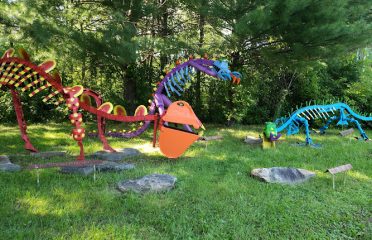 Forgotten Acres Farm llc