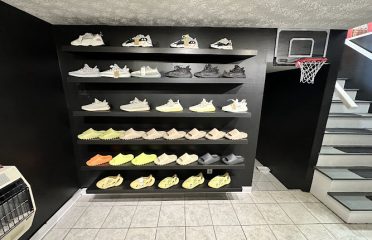 Ace of Kicks CT