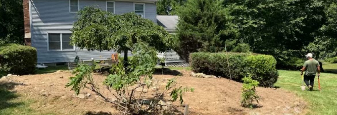 Cesar’s Lawn Maintenance and Masonry