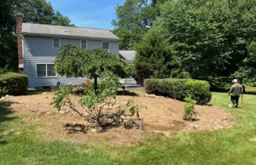 Cesar’s Lawn Maintenance and Masonry