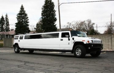 Hines Limousine Services