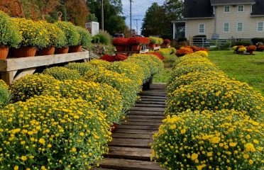 Marsh Hill Farms