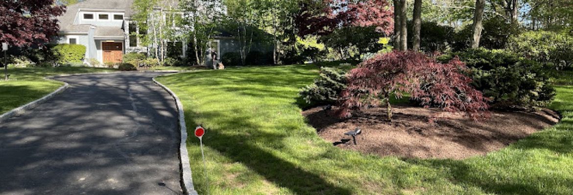 Palazzo Landscaping, Inc.