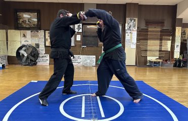 New England Ninjutsu