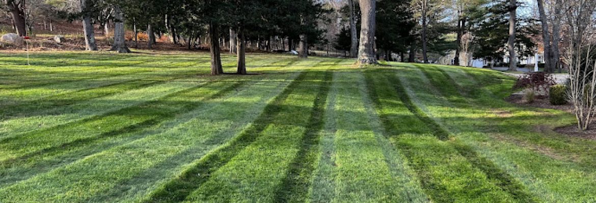 Tate’s Property Care, LLC
