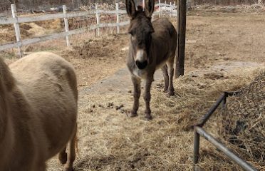 Tara Farm Rescue