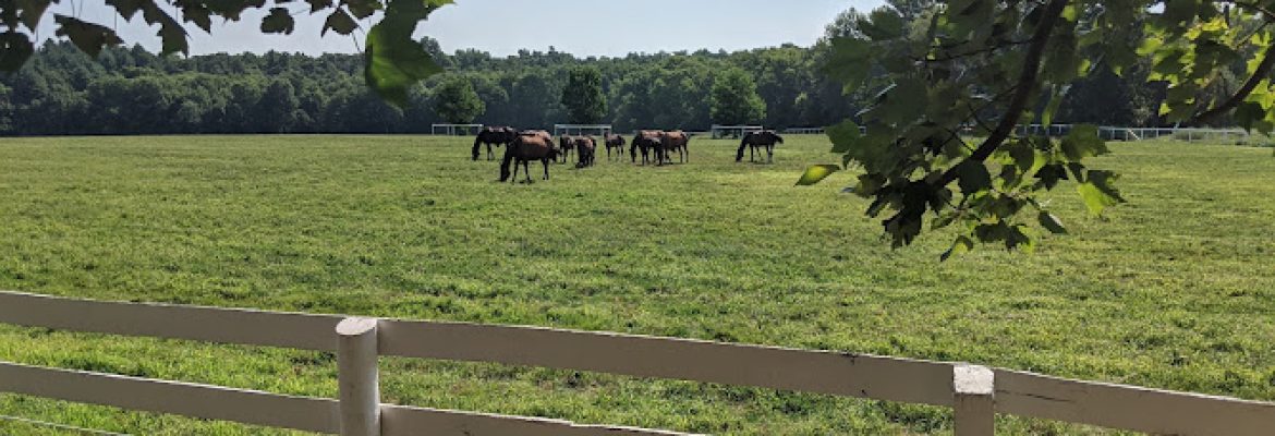 Round Tuit Ranch