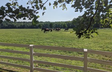 Round Tuit Ranch