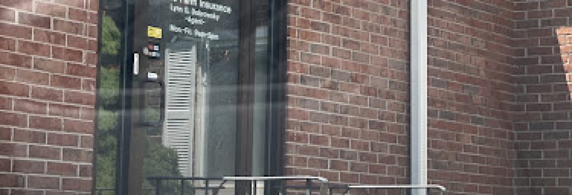 Lynn Dobrowsky – State Farm Insurance Agent