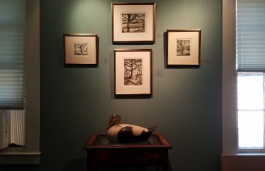 Cooley Gallery Inc