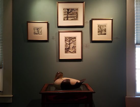 Cooley Gallery Inc