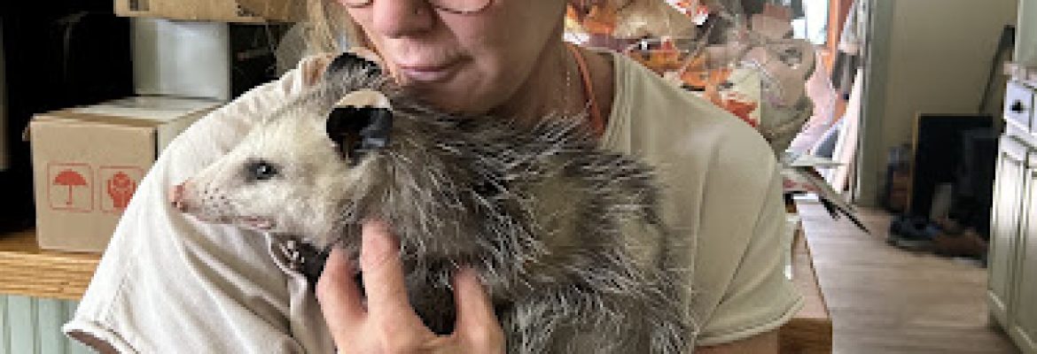 Claws N Paws Rehabilitation Center