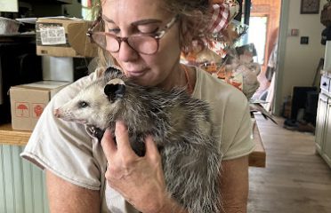 Claws N Paws Rehabilitation Center