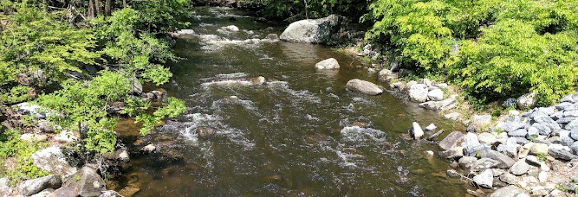 Mianus River Park