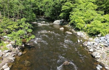 Mianus River Park