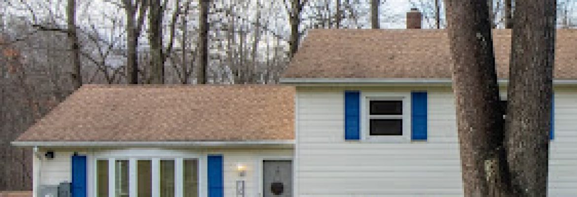 Leanne Petrillo Criscuolo, Realtor