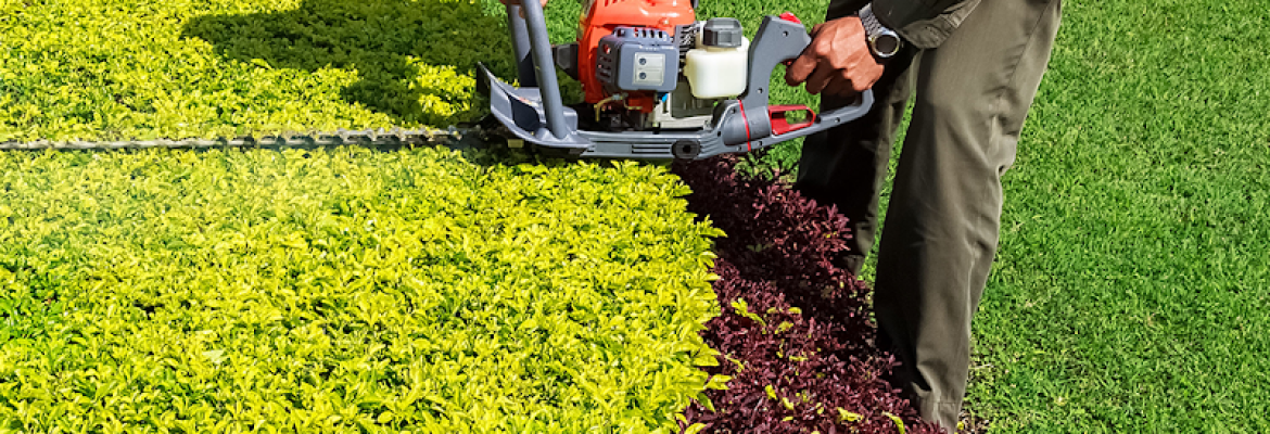 CLM Landscaping