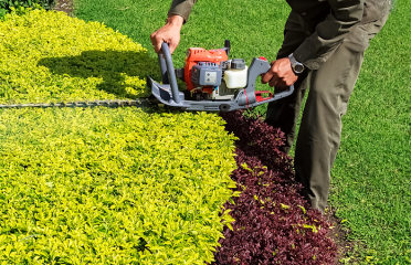 CLM Landscaping
