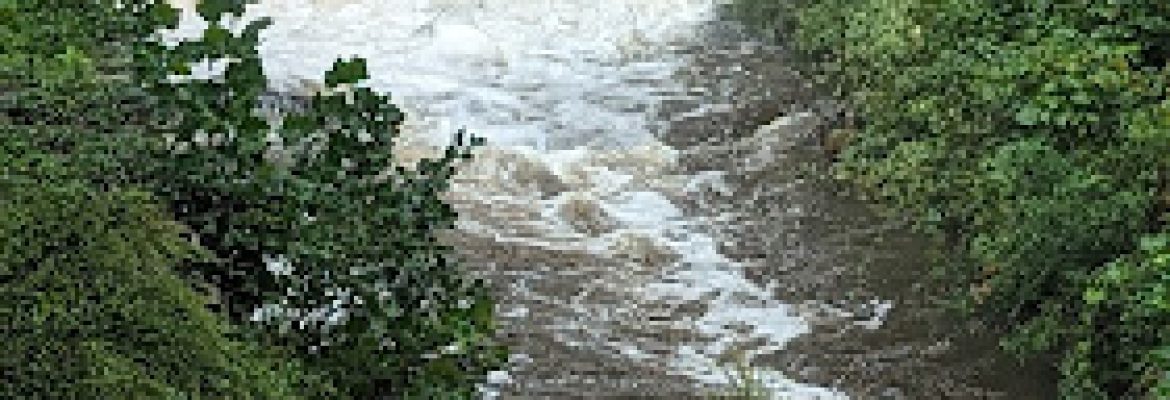 Mill Fall