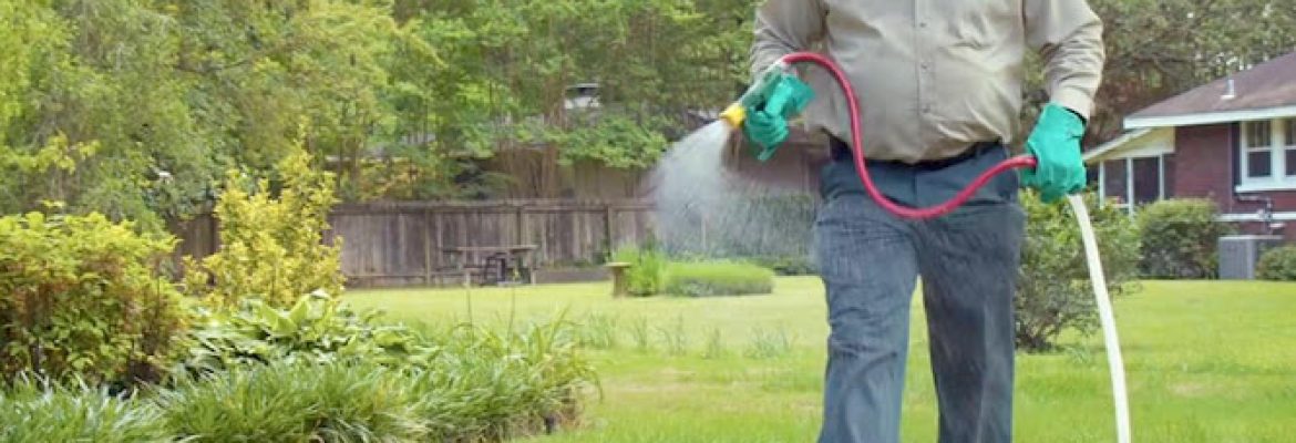 TruGreen Lawn Care