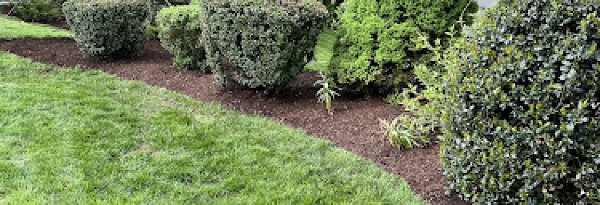Gold Coast Property Maintenance