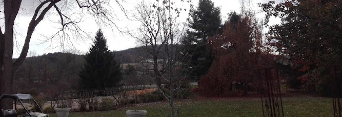 Old Farm Nursery
