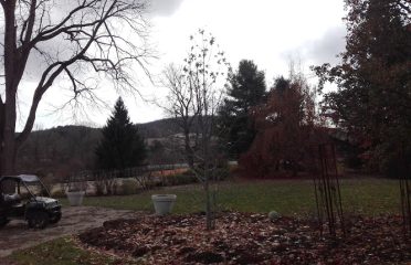 Old Farm Nursery